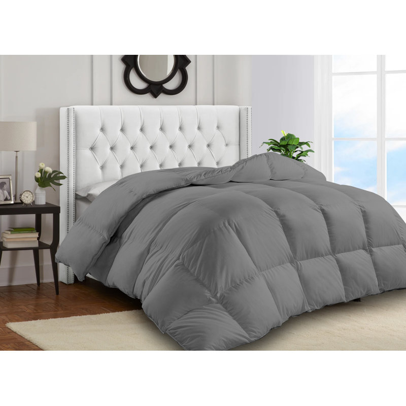 Alwyn Home Lightweight Summer Down Alternative Comforter & Reviews Wayfair